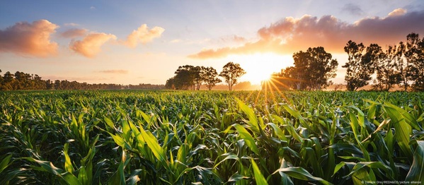 Нові умови торгівлі агропродукцією між Україною та ЄС