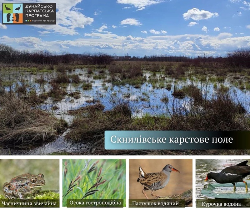 Створення природоохоронного об'єкта на Львівщині