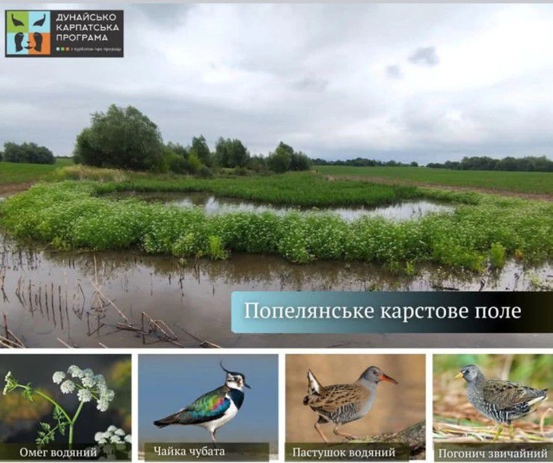 Створено заказник «Попелянське карстове поле» у Львівській області