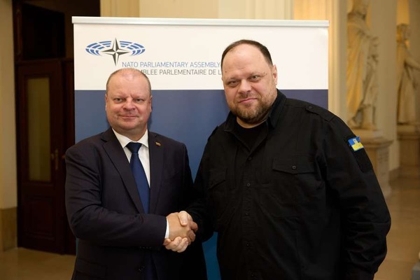 Руслан Стефанчук подякував Литві за підтримку України