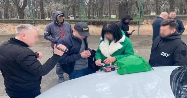 ВРП відкрила справу проти судді Алли Маломуж через скаргу