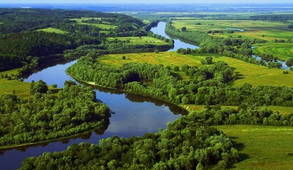 Гирло річки Прип’ять отримало статус міжнародного водно-болотного угіддя