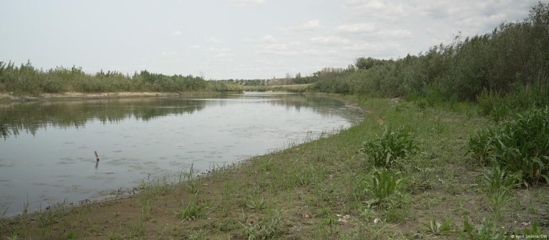 Відновлення Великого Лугу: екологічні зміни після знищення ГЕС