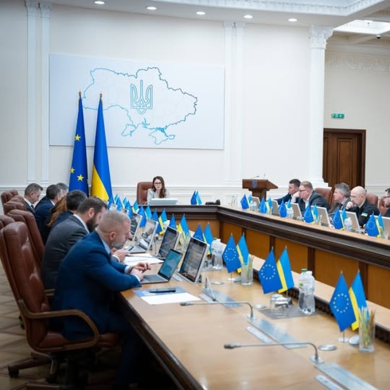 Звільнення Олени Думи з АРМА: новий конкурс на посаду