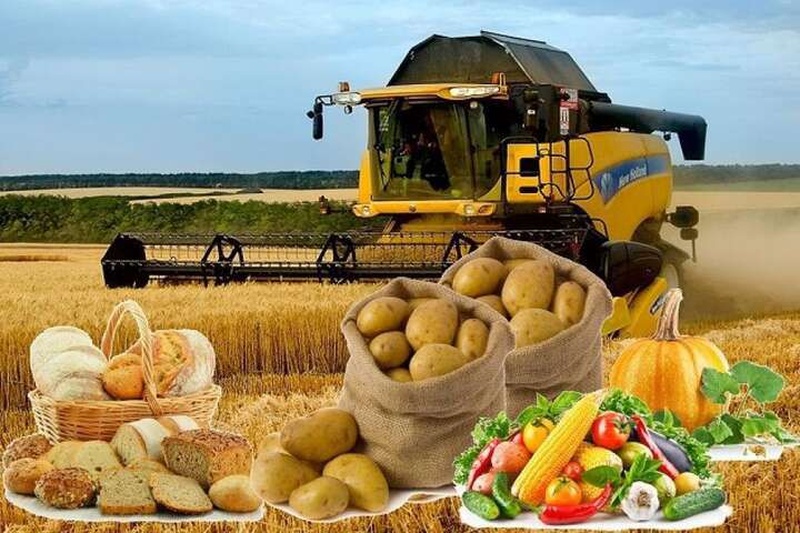 Фермери України: герої тилу під час війни