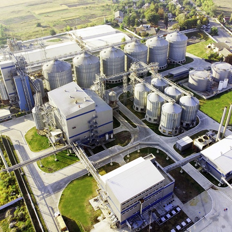 Астарта оголосила дивіденди за 2024 рік: €0,5 на акцію